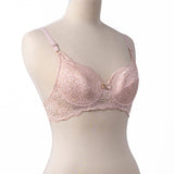 Basic Bra - 029