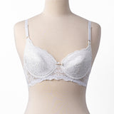 Basic Bra - 029