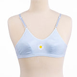 2 Hook Basic Non Wire Bra - 1016