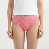 Multi Color Brief Panty Pack Of 6-B227