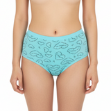 Multi Color Brief Panty Pack Of 6-B240