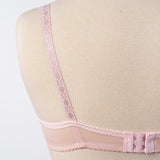 Lighty Padded Non Wire Bra - 329