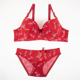 Wire Padded Bra Set - 3346