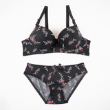 Wire Padded Bra Set - 3346