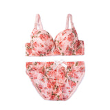 Wire Padded Bra Set - 3347