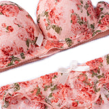 Wire Padded Bra Set - 3347