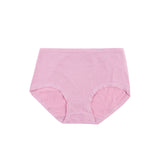 Classic Brief Panty 6502