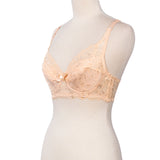 Basic Bra - B016