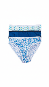 High Leg Panty Ps-14 (Pack Of 3)