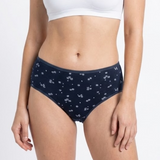 Multi Color Brief Panty Pack Of 6-B227