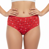 Multi Color Brief Panty Pack Of 6-B256