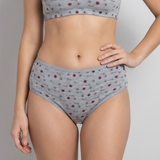 Multi Color Brief Panty Pack Of 6-B256