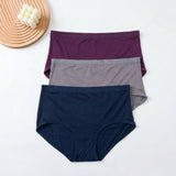 SARI PANTY PACK OF 3 CLASSIC BRIEF PS6669 MULTI