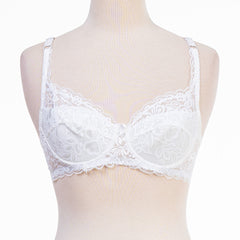 Basic Net Bra 2004