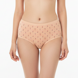 Multi Color Brief Panty Pack Of 3-B246