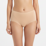 Multi Color Brief Panty Pack Of 3-B253