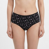 Multi Color Brief Panty Pack Of 6-B256