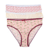 Belleza Lingerie High Leg Panty PS-06 (Pack of 3)