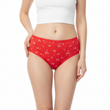 Multi Color Brief Panty Pack Of 6-B227