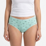 Multi Color Brief Panty Pack Of 6-B259